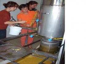 photo coins arrondis